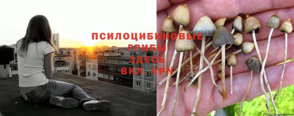 мяу мяу мука Приозерск