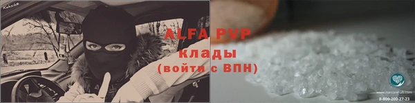 стаф Протвино