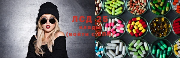 стаф Протвино