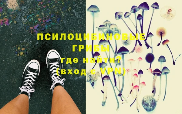 PSILOCYBIN Покровск