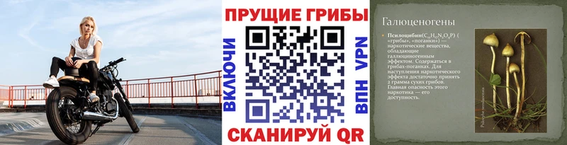 Галлюциногенные грибы MAGIC MUSHROOMS  как найти закладки  Спасск-Дальний 