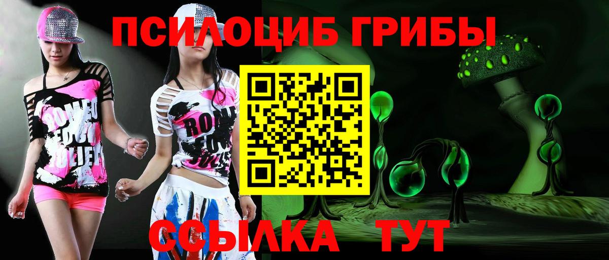 Галлюциногенные грибы Psilocybine cubensis Спасск-Дальний